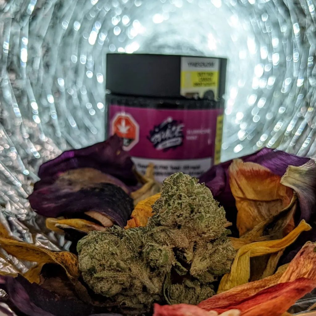 slurricane mints by plantation ceres strain review by terple grapes