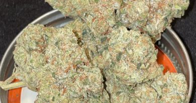 sour diesel bx2 by boutique smoke strain review by toptierterpsma