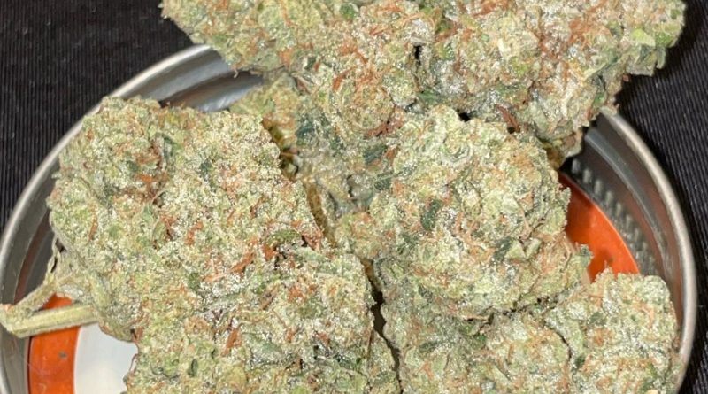 sour diesel bx2 by boutique smoke strain review by toptierterpsma