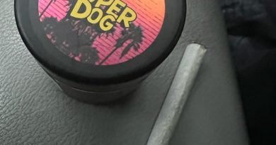 super dog by connected cannabis co strain review by thecannaisseurking