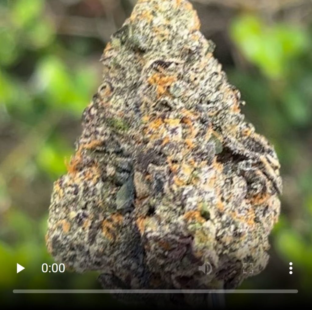 ted flash by teds budz strain review by thethcspot 2