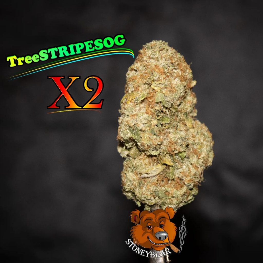 tree stripes og by x2 strain review by stoneybearreviews