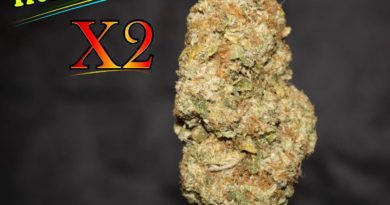 tree stripes og by x2 strain review by stoneybearreviews