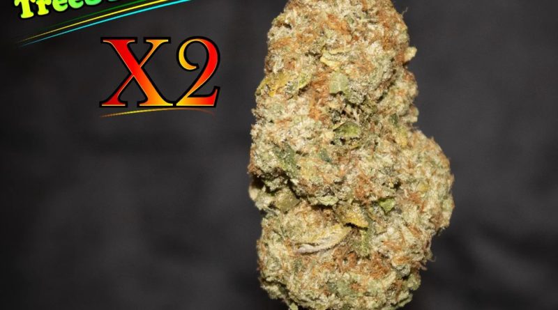 tree stripes og by x2 strain review by stoneybearreviews