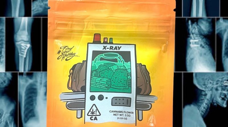 x-ray by permanent holiday strain review by thethcspot