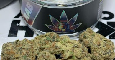 zaviar by russian assassin boyz strain review by ogkush_or_nah