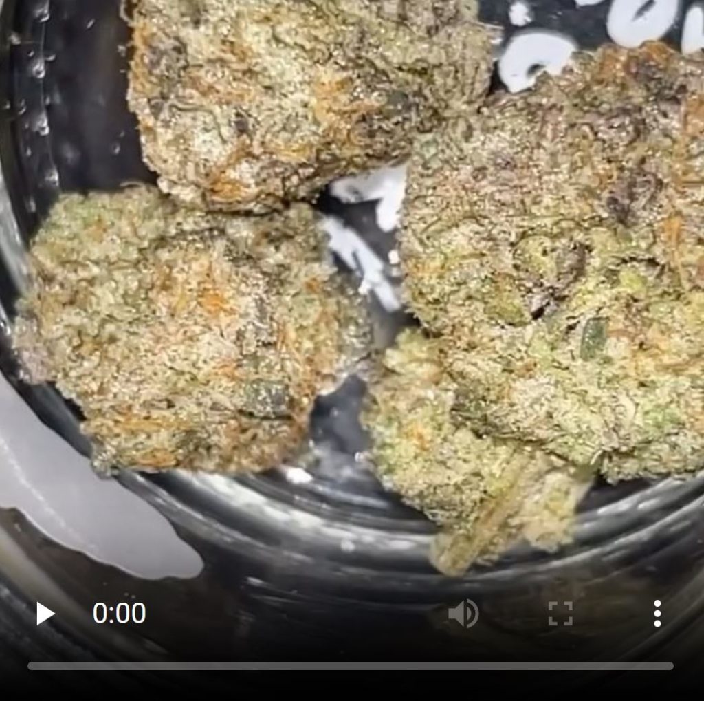 zkittlez pie by fresh vibez flower co strain review by cali_bud_reviews