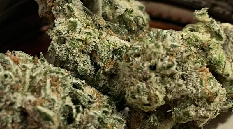 animal mints bx1 by bionic budz strain review by digital.smoke