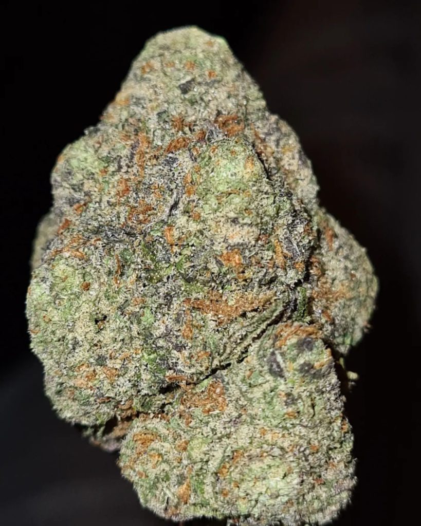 bored 8th by backpack boyz x 5 points la x uncle snoop strain review by cannoisseurselections 2