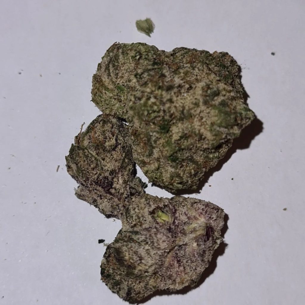 bukkake by scum bags strain review by cannoisseurselections 2