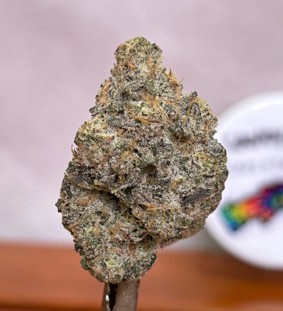 candy man by fresh vibez flower co strain review by bccalibudreviews