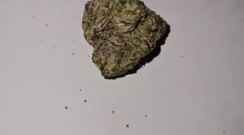 cindy's kooky by scum bags strain review by cannoisseurselections