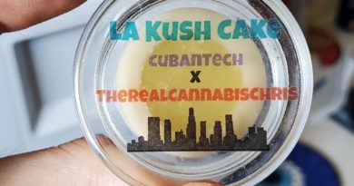 la kush cake rosin by the real cannabis chris hash review by dcent_treeviews