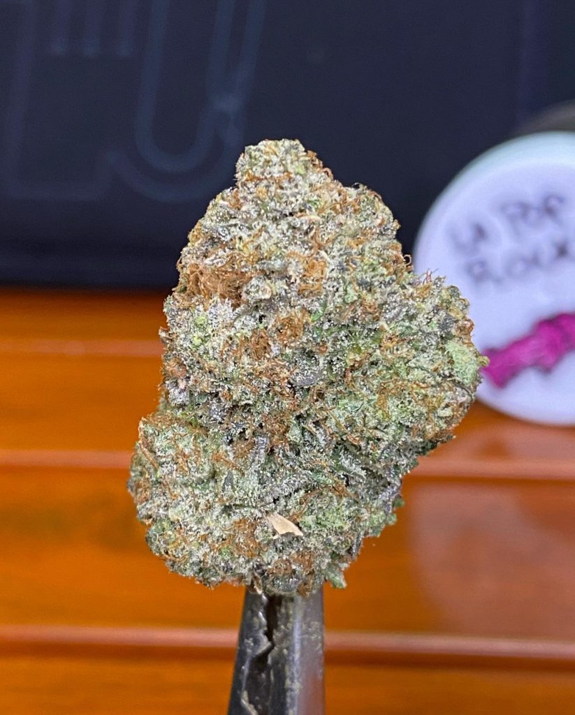la pop rocks by fresh vibez flower co strain review by bccalibudreviews