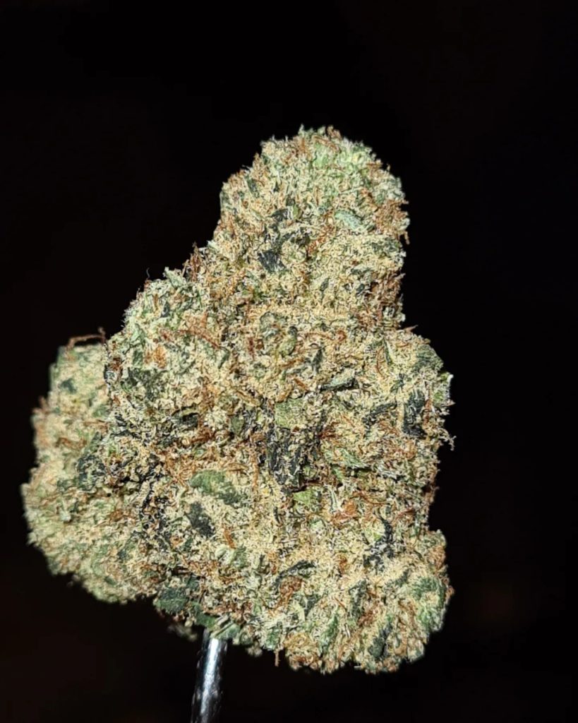 og kush by the tenco x don merfos exoticz strain review by cannoisseurselections 2