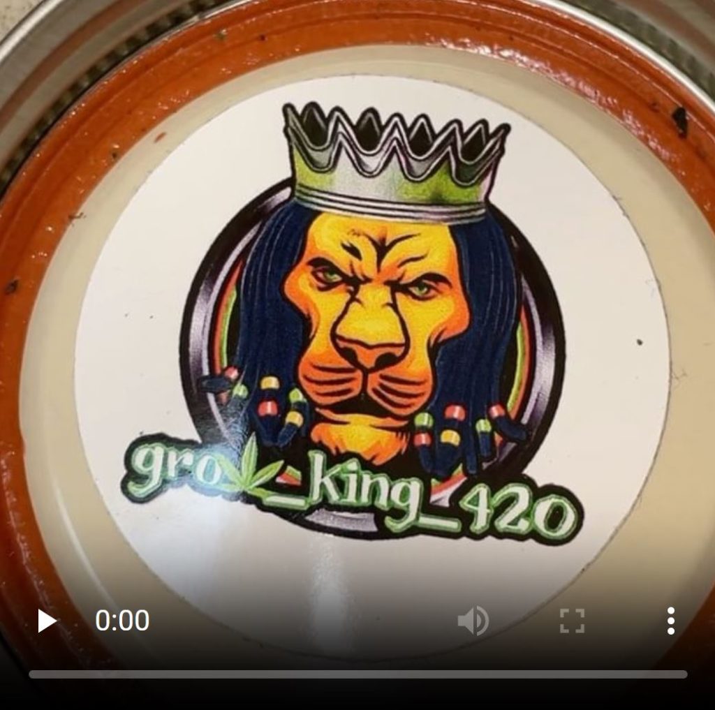 sour d x starkiller by grow king 420 strain review by letmeseewhatusmokin