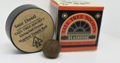 sour diesel nepalese temple ball by tall tree society press release