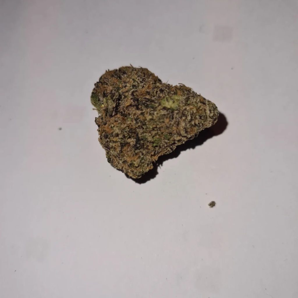 zorro by quality controlled farms strain review by cannoisseurselections 2