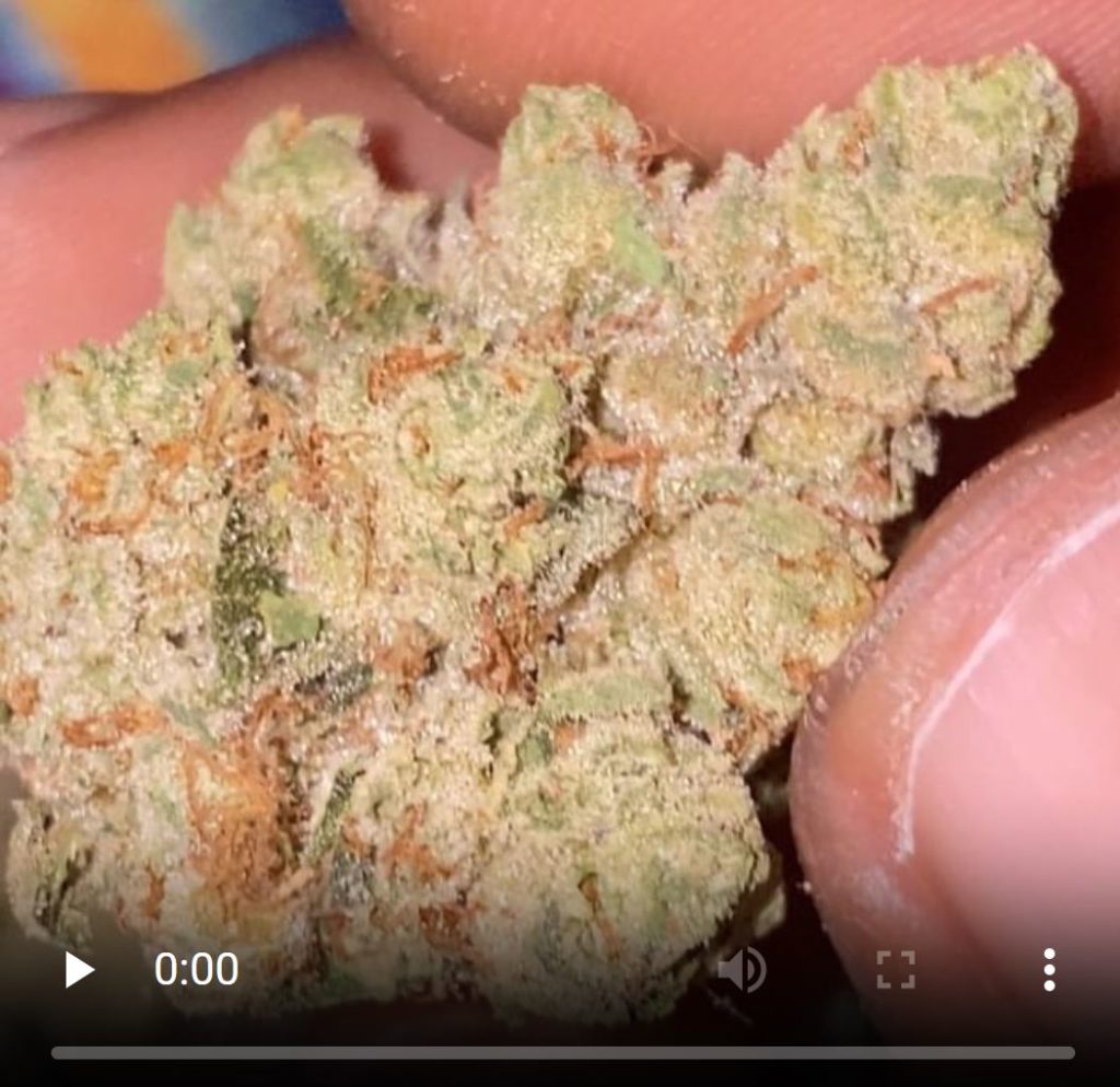 alien og by the cure company strain review by dopamine 2