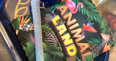 animal land by dubz garden x la coz exotics strain review by thecannaisseurking