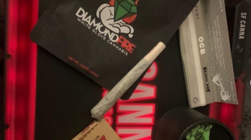 bay bridge by diamond fire strain review by thecannaisseurking