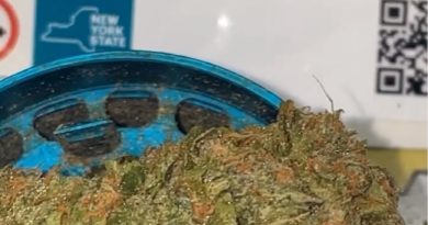 blueberry by tks.ssaucyb strain review by letmeseewhatusmokin