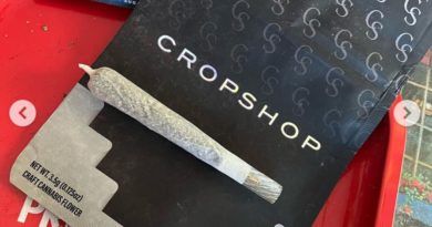 carbon fiber by crop shop strain review by thecannaisseurking