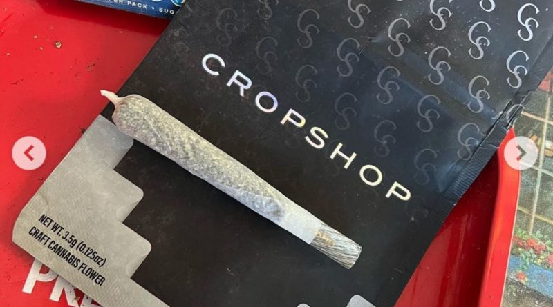 carbon fiber by crop shop strain review by thecannaisseurking