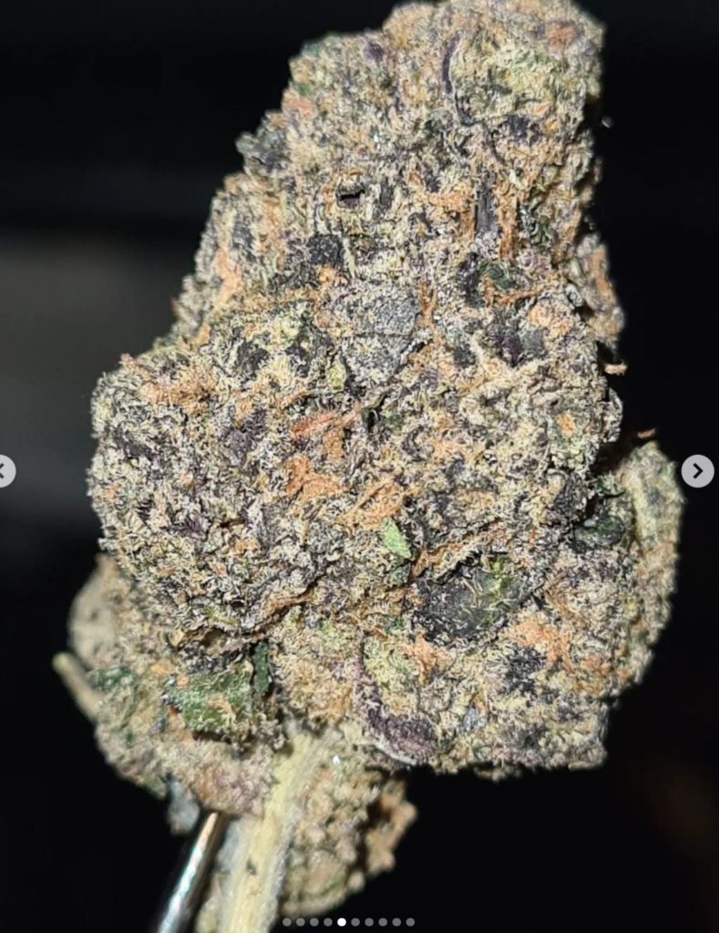 charizards dragon breath by tokemon strain review by cannoisseurselections 2