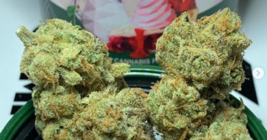 cherry dairy by cannabiotix strain review by og kush lover