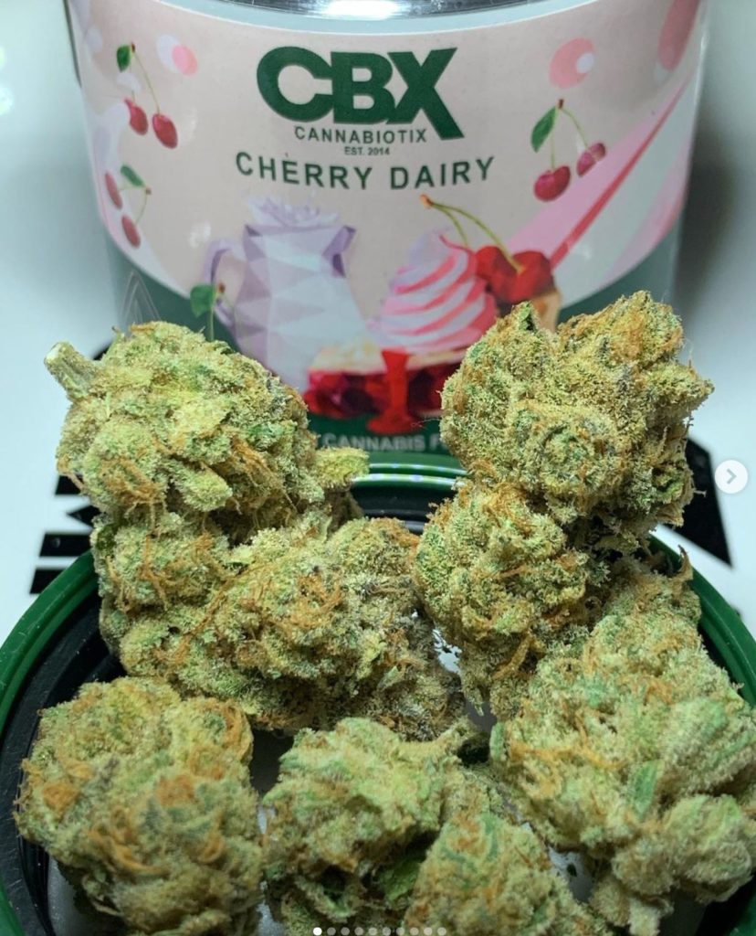 cherry dairy by cannabiotix strain review by og kush lover