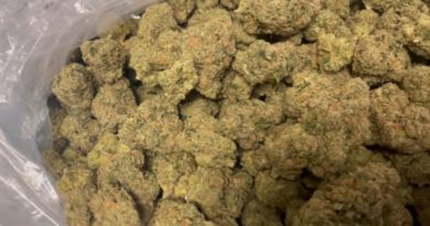 cherry runtz by the mechanics farm strain review by letmeseewhatusmokin