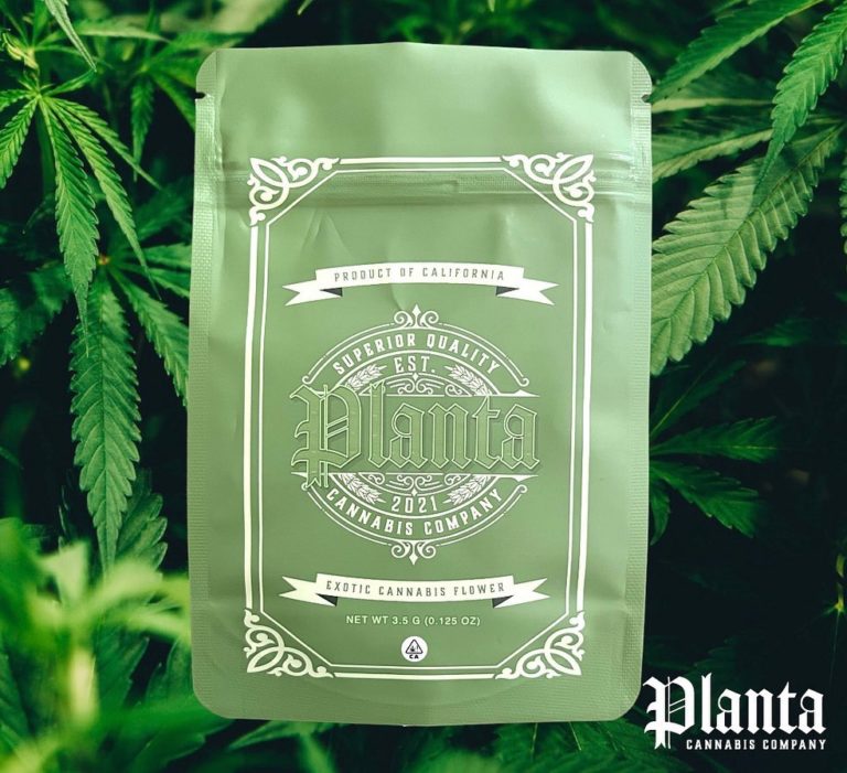 Strain Review: Coffin Candy by Planta - The Highest Critic