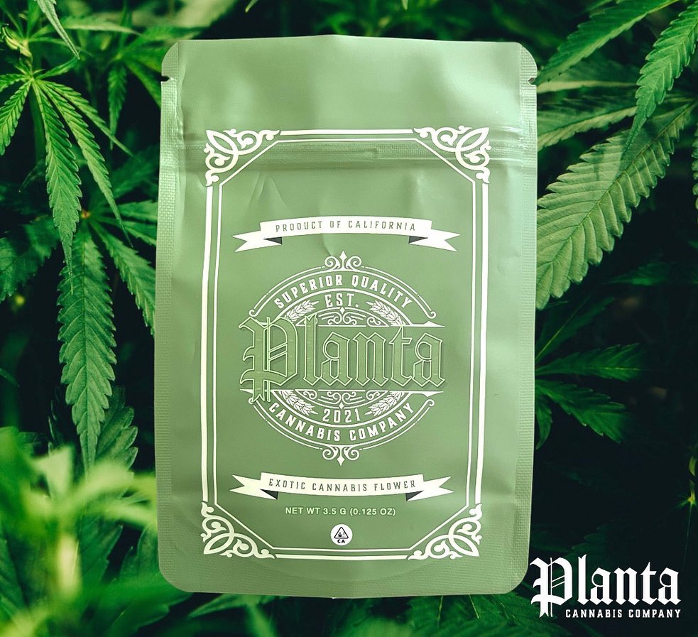 coffin candy by planta strain review by thethcspot 2