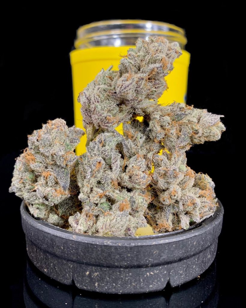 dirty bird by eastwood gardens strain review by pnw.chronic