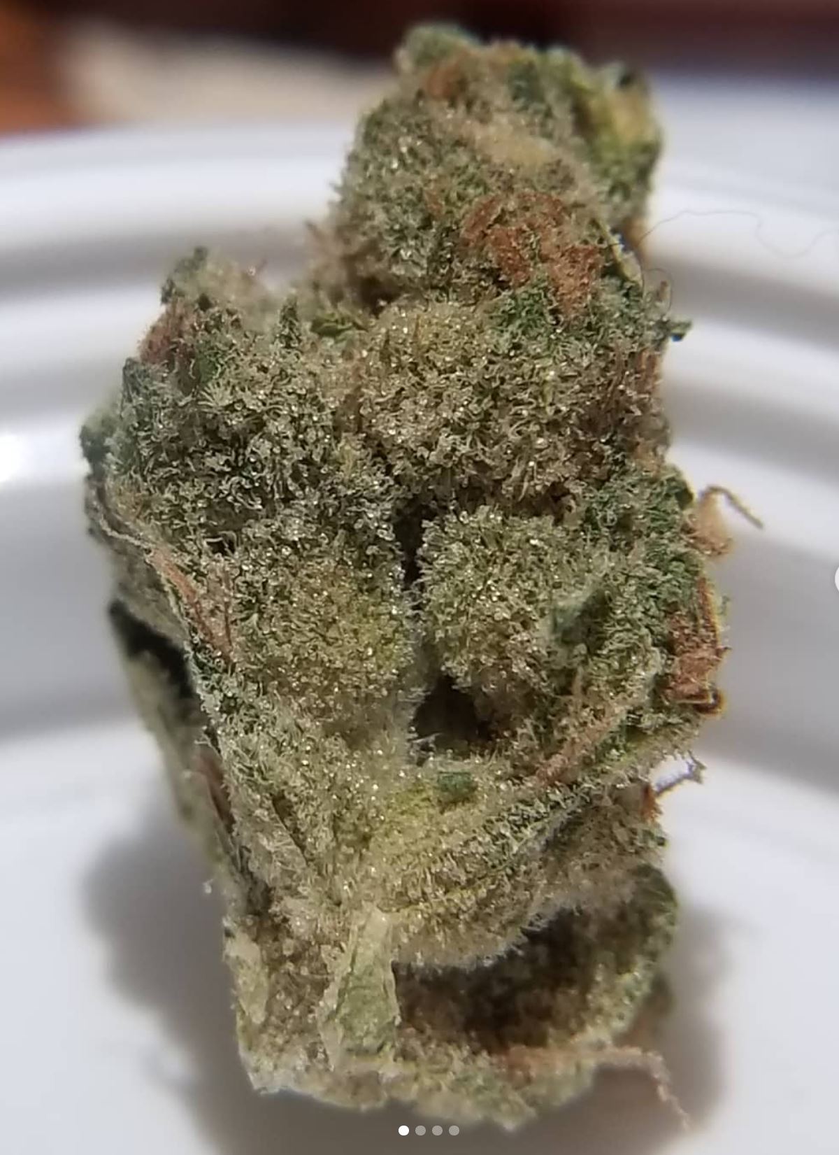 Strain Review Durban Poison By Cresco Cannabis The Highest Critic