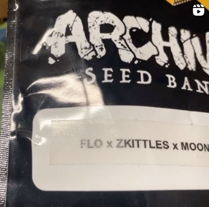 flo x zkittlez x moonbow 112 by archive seed bank strain review by letmeseewhatusmokin