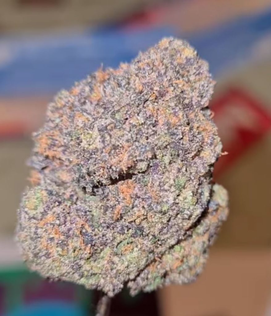 grandi candi by grandiflora genetics strain review by cannoisseurselections 2