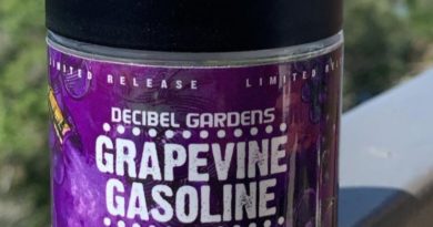 grapevine gasolin by decibel gardens strain review by wl_official619 2