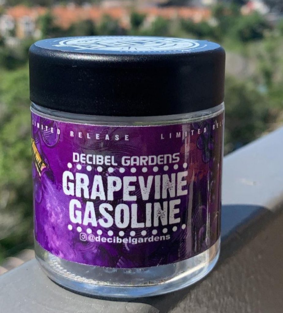 grapevine gasolin by decibel gardens strain review by wl_official619 2