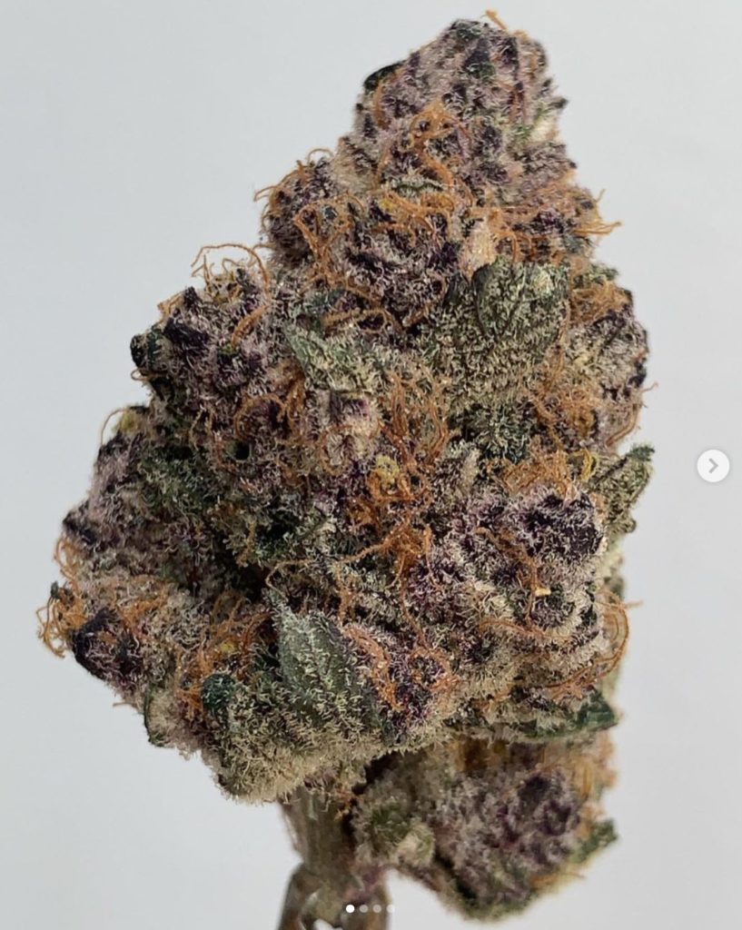 high c by cream of the crop gardens strain review by wl_official619