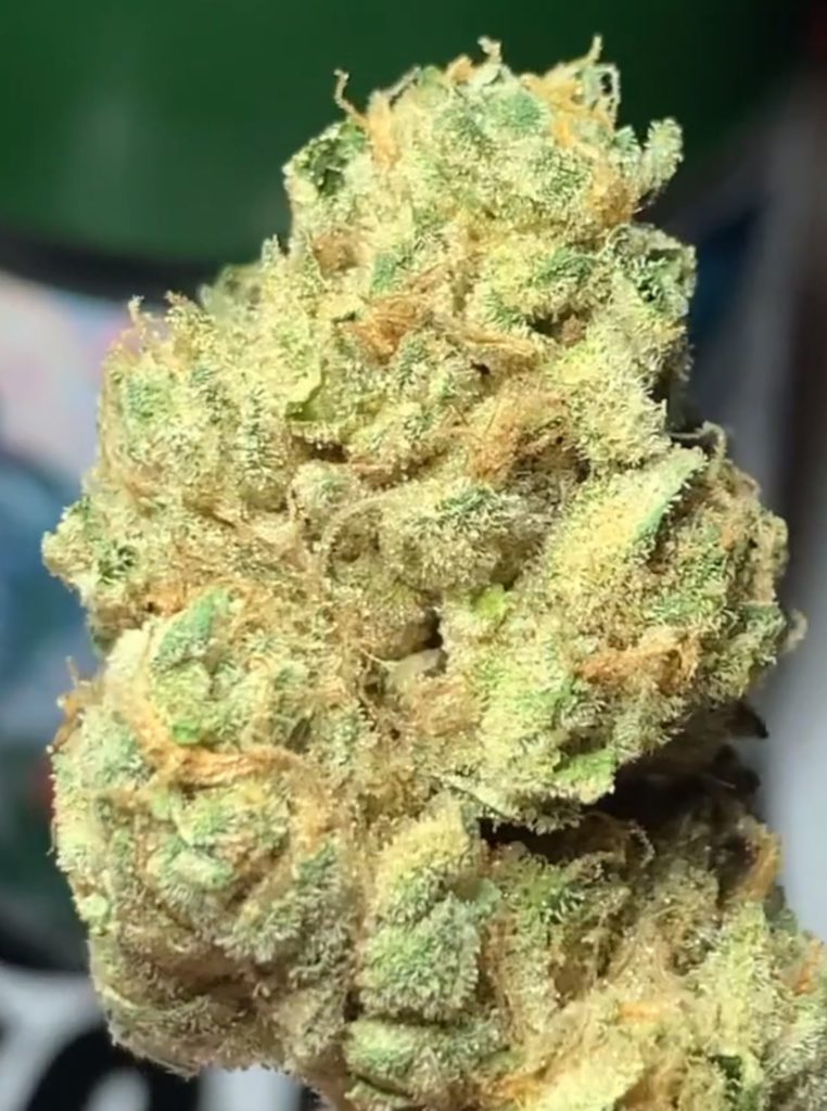 highuasca by cannabiotix strain review by ogkush_or_nah 2