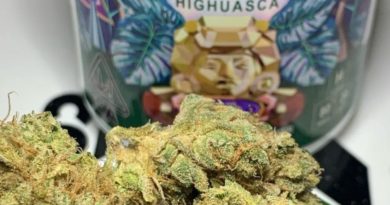 highuasca by cannabiotix strain review by ogkush_or_nah