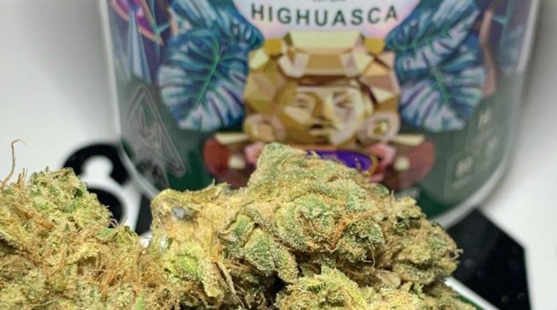 highuasca by cannabiotix strain review by ogkush_or_nah