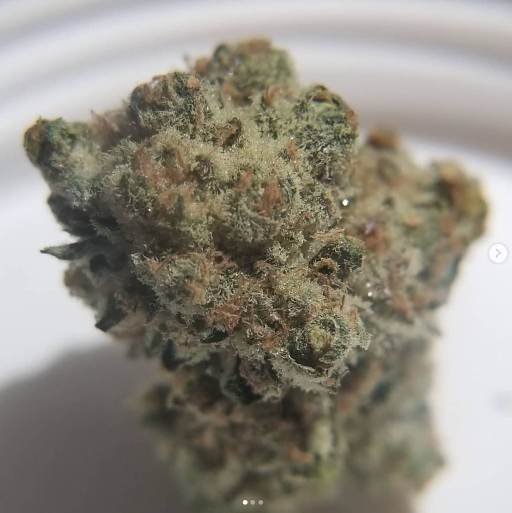 highway cookies #4 by prime wellness strain review by chauncy_thecannaseur