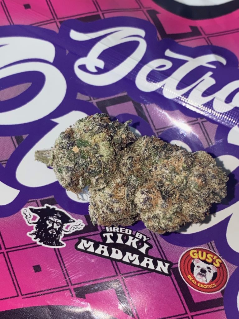 Strain Review Detroit Runtz by Gus