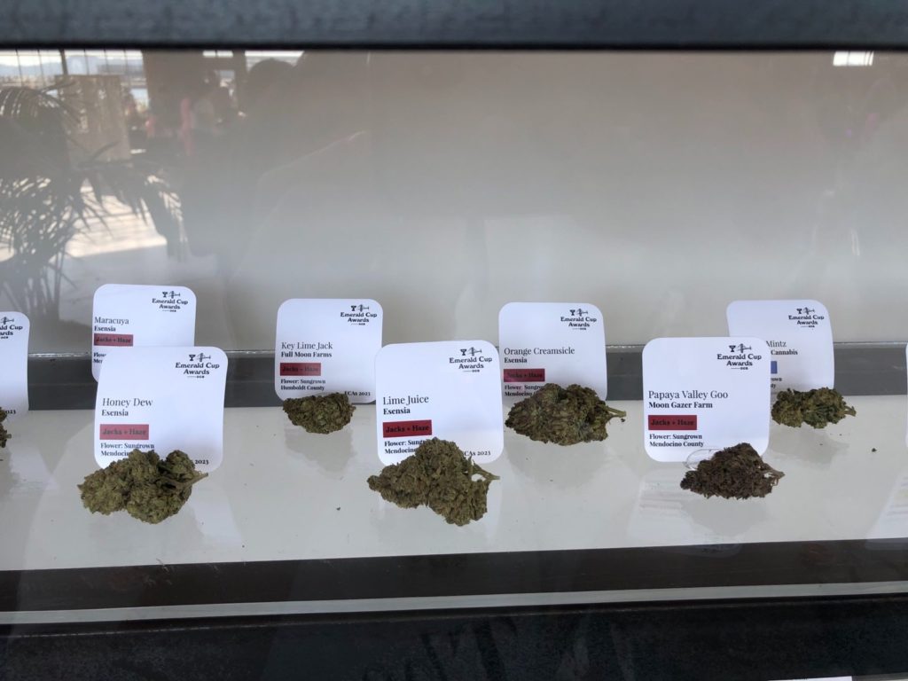 jacks and hazes on display at emerald cup awards show 2023