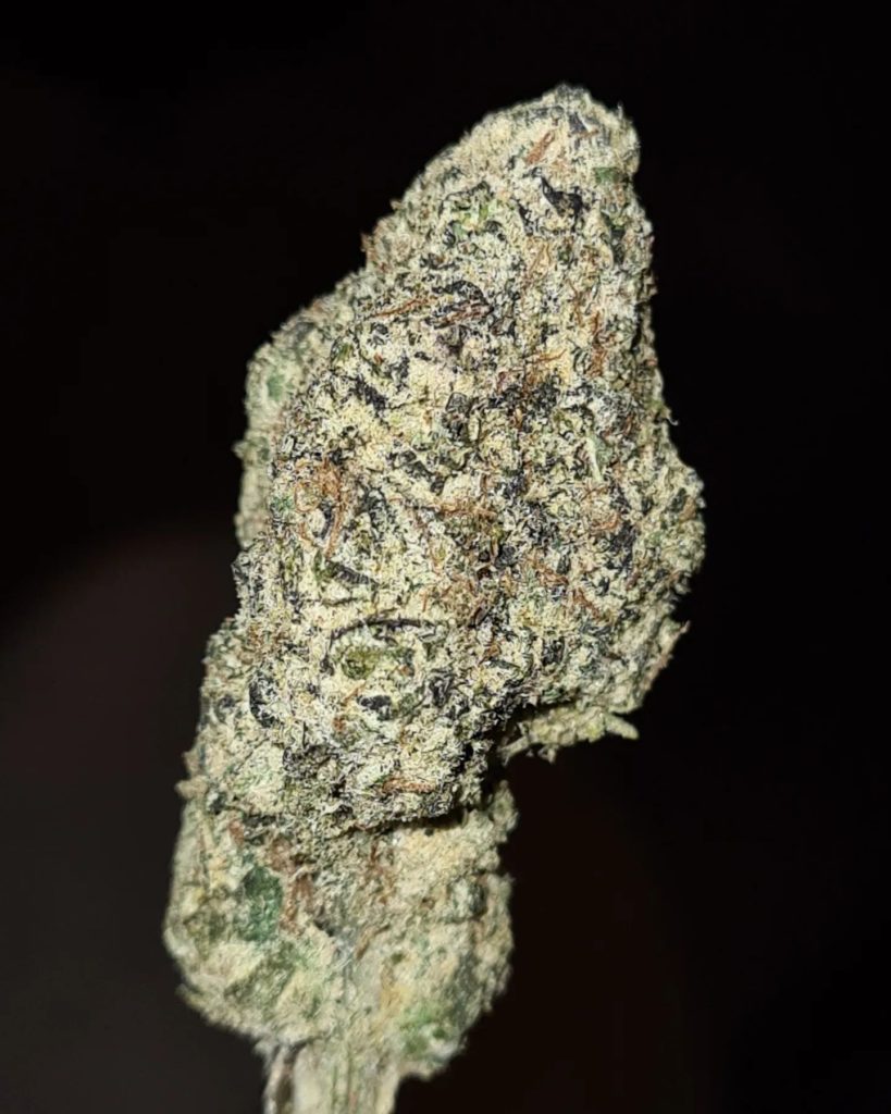jigglypuffs bubble gum by tokemon strain review by cannoisseurselections 3