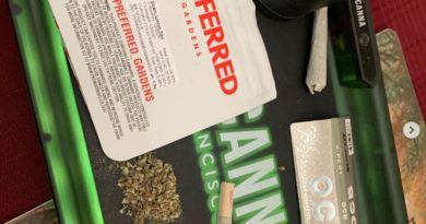 lemon tree by preferred gardens strain review by thecannaisseurking