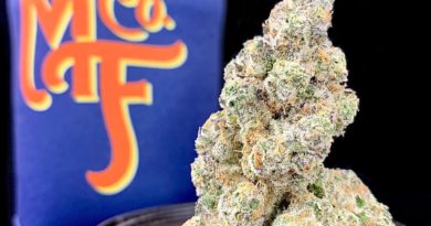 malibu marsha by midnight fruit company strain review by pnw.chronic